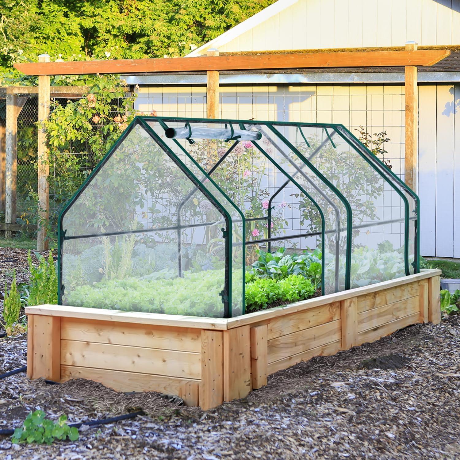 imageOhuhu Portable Mini Greenhouse 71quotx36quotx36quot Greenhouses for Outdoors with Dual Large Zipper Doors ampamp Ground Stakes Waterproof ampamp UV Protected Plastic Green House for Outside Garden Patio BackyardPVC