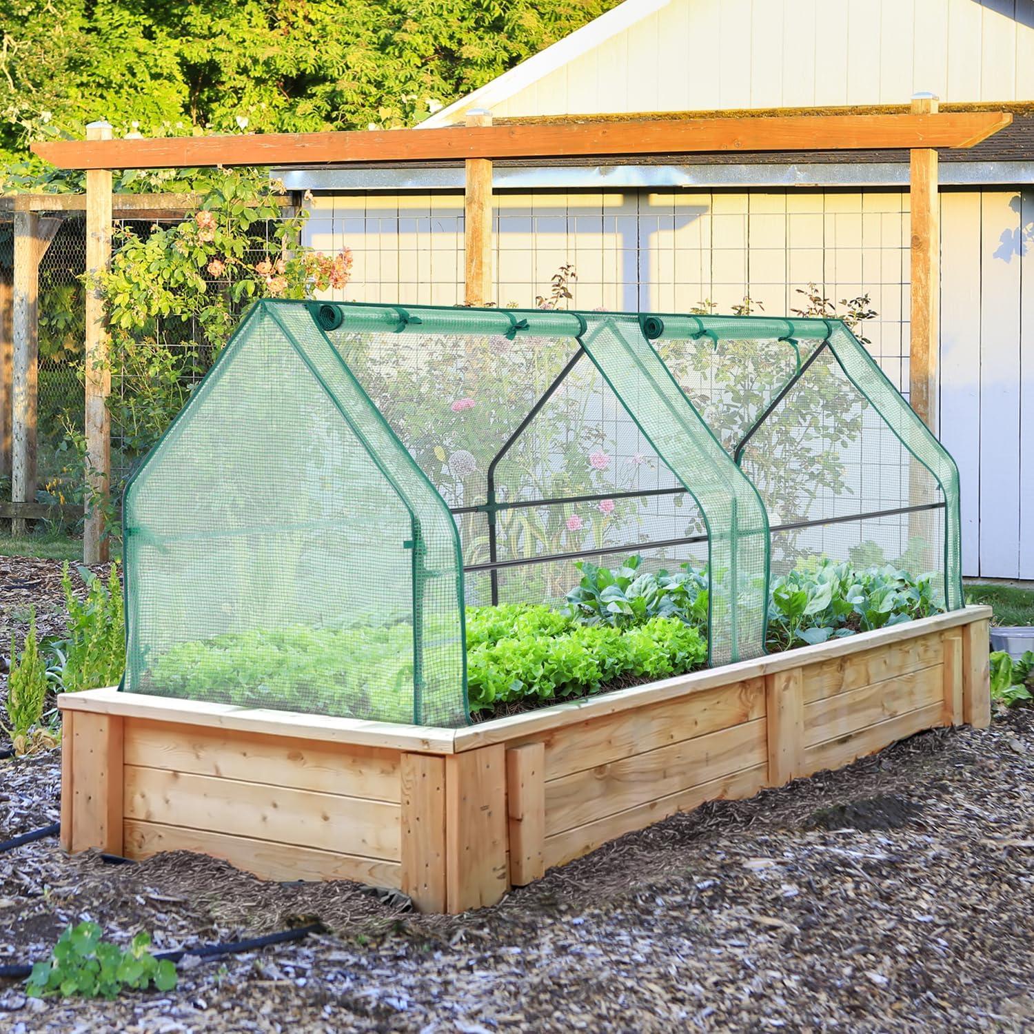 imageOhuhu Portable Mini Greenhouse 71quotx36quotx36quot Greenhouses for Outdoors with Dual Large Zipper Doors ampamp Ground Stakes Waterproof ampamp UV Protected Plastic Green House for Outside Garden Patio BackyardPE