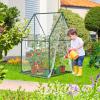 Mini Greenhouse for Indoor Outdoor: Ohuhu Portable Green House with Waterproof Pad for Small Plants Nursery Germination, 36″x36″x58.5″ Heavy-Duty PVC Cover Tent Humidity Dome Seedling Accessory(36 x 36 x 58.5 inch)