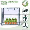 Mini Greenhouse for Indoor Outdoor: Ohuhu Portable Green House with Waterproof Pad for Small Plants Nursery Germination, 36″x36″x58.5″ Heavy-Duty PVC Cover Tent Humidity Dome Seedling Accessory(36 x 18 x 33 inch)