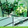 Ohuhu Plastic Greenhouse for Outdoors: Portable Walk in Plant Green House with Improved Transparent PVC Cover, 3 Tiers 12 Shelves Stands Small Greenhouses Backyard Green Houses for Outside Heavy Duty(PE Cover)