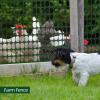 Plastic Garden Fence Animal Barrier: Ohuhu 4’x50’/7.5LBs Heavy Duty Reusable Netting Safety Fences Roll with Zip Ties, Durable Temporary Pool Fence Snow Fencing for Deer Rabbit Chicken Dog Poultry(Green)