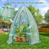 Portable Greenhouse for Outsides, Ohuhu Heavy Duty Green House Tent with Durable PE Cover, Garden Plant Protector with Zippered Door Mesh Window for Vegetables Flowers Fruits Herbs, 63x54x71 Inch(pointed roof – green)