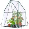 Mini Greenhouse for Indoor Outdoor: Ohuhu Portable Green House with Waterproof Pad for Small Plants Nursery Germination, 36″x36″x58.5″ Heavy-Duty PVC Cover Tent Humidity Dome Seedling Accessory(36 x 36 x 58.5 inch)