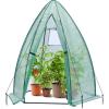 Portable Greenhouse for Outsides, Ohuhu Heavy Duty Green House Tent with Durable PE Cover, Garden Plant Protector with Zippered Door Mesh Window for Vegetables Flowers Fruits Herbs, 63x54x71 Inch(pointed roof – green)