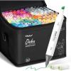 Ohuhu Alcohol Markers – Double Tipped Art Marker Set for Artist Illustration -160 Colors- Chisel & Fine Dual Tips- Oahu of Ohuhu Markers – Refillable