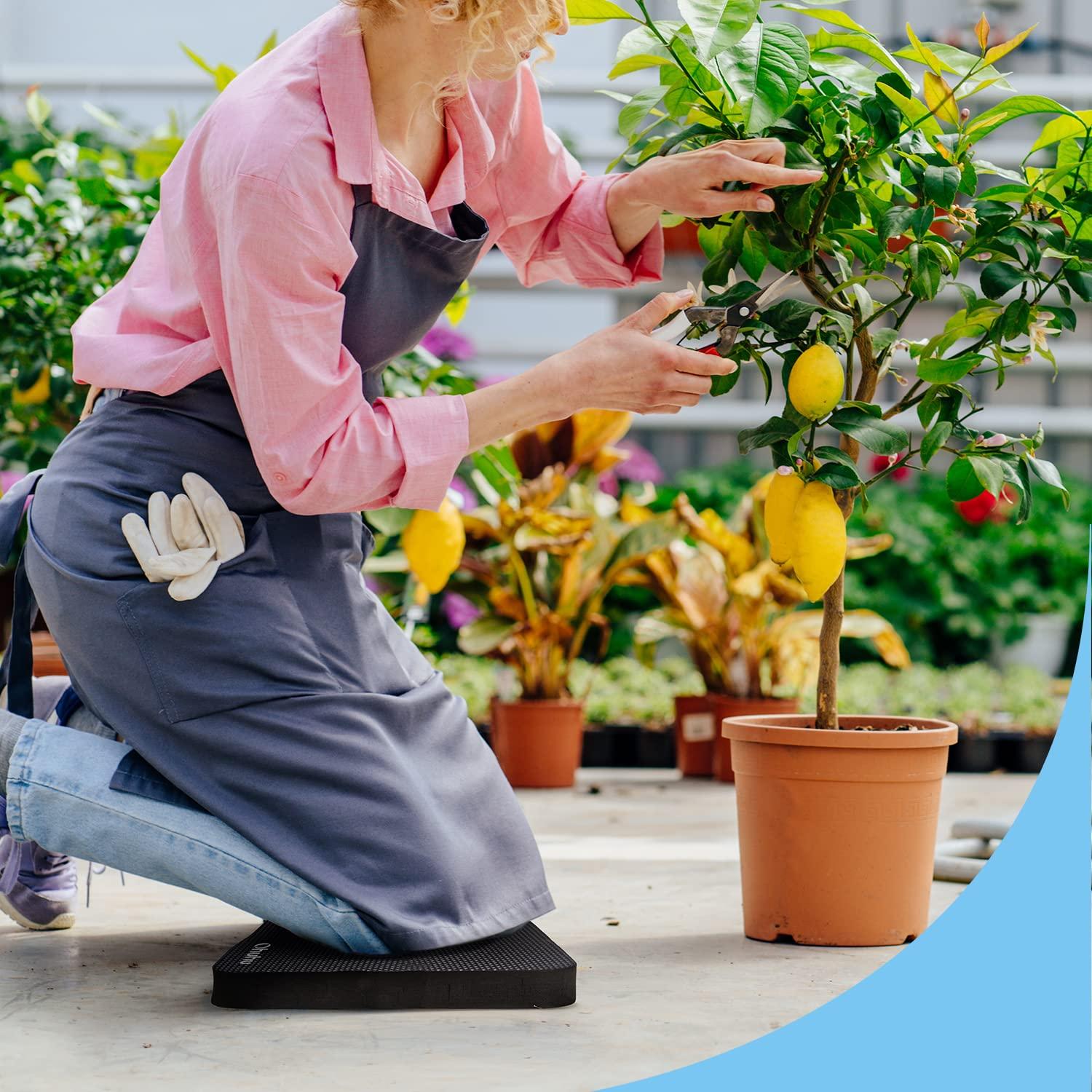 imagePremium Thick Kneeling Pad Ohuhu 2Pack Large Comfortable Gardening Knee Mat with 2 Different Surfaces Extra Thick Knee Cushion Kneeler for Gardening Work Baby Praying Gifts for Women Men SeniorsBlack