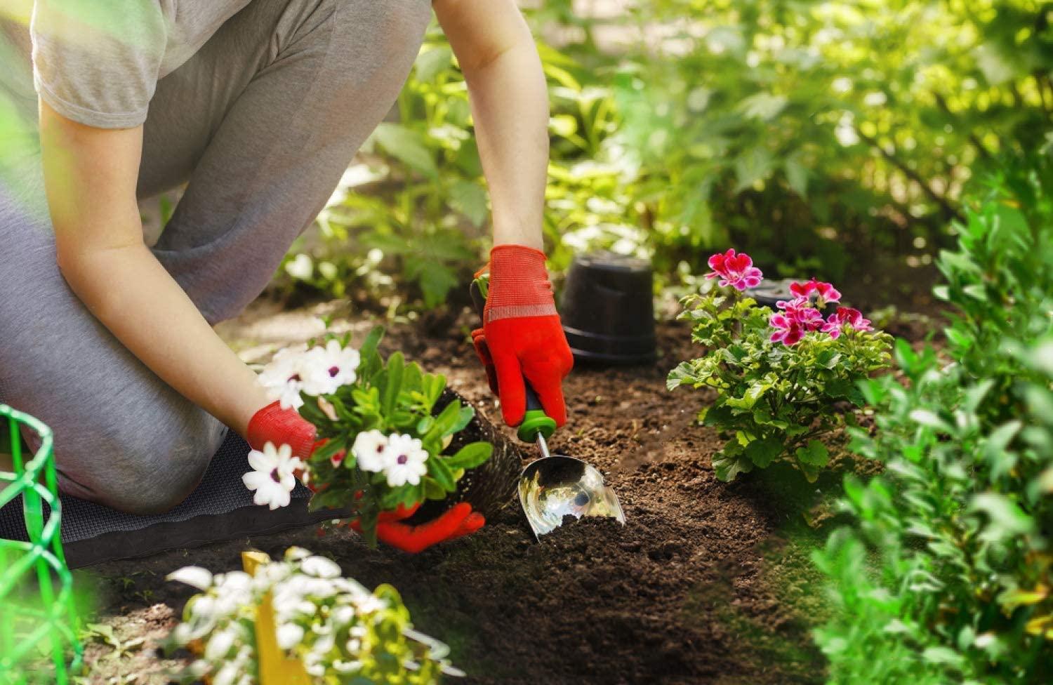 imagePremium Thick Kneeling Pad Ohuhu 2Pack Large Comfortable Gardening Knee Mat with 2 Different Surfaces Extra Thick Knee Cushion Kneeler for Gardening Work Baby Praying Gifts for Women Men SeniorsBlack