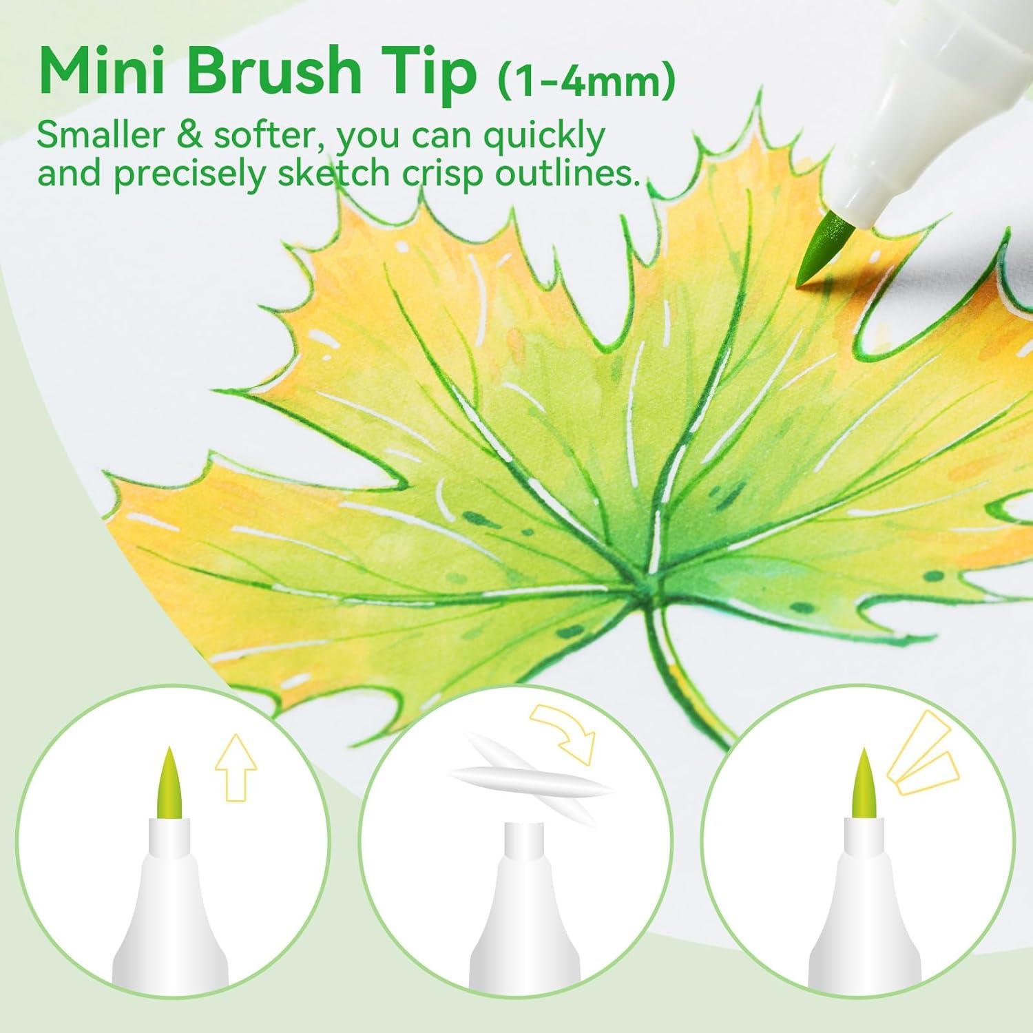 imageOhuhu Alcohol Markers Mini Brush ampamp Slim Broad 60 Landscape Colors Dual Tip Brush Tip Alcoholbased Art Marker for Artists Adults Coloring Illustration Refillable Kaala B Series of Ohuhu Markers60 Landscape Colors