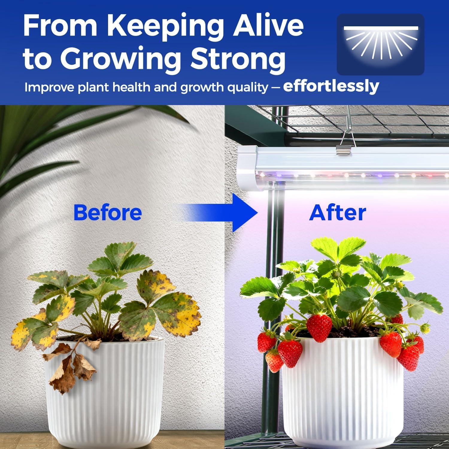 image:imageIndoor Greenhouse with Grow Light Ohuhu 4Tier Mini Green House for Winter Full Spectrum Greenhouses for Seed Starting Small Portable Green Houses Waterproof PVC Cover amp Adjustable ShelvesPVC