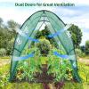 Ohuhu Portable Tunnel Greenhouse Outdoor: Heavy Duty Small Walk in Green House with Mesh Windows, Reinforced Metal Base Durable Plastic PE Cover for Outside, Free Tool to Install, 5.9×5.9×6.6 FT(Green)