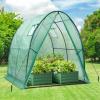 Ohuhu Portable Tunnel Greenhouse Outdoor: Heavy Duty Small Walk in Green House with Mesh Windows, Reinforced Metal Base Durable Plastic PE Cover for Outside, Free Tool to Install, 5.9×5.9×6.6 FT(Green)